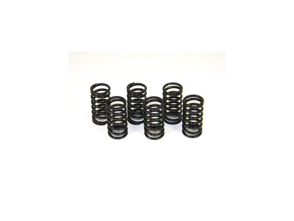 6M01 - KIT CLUTCH SPRINGS - DBK Special Parts - 8