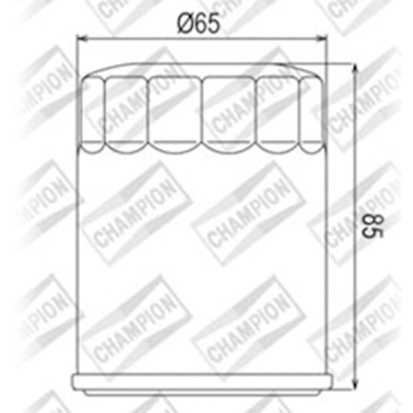 CHAMPION OIL FILTER ELEMENT - COF048 1