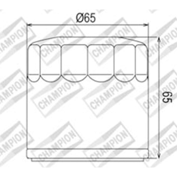 CHAMPION OIL FILTER ELEMENT - COF454 1