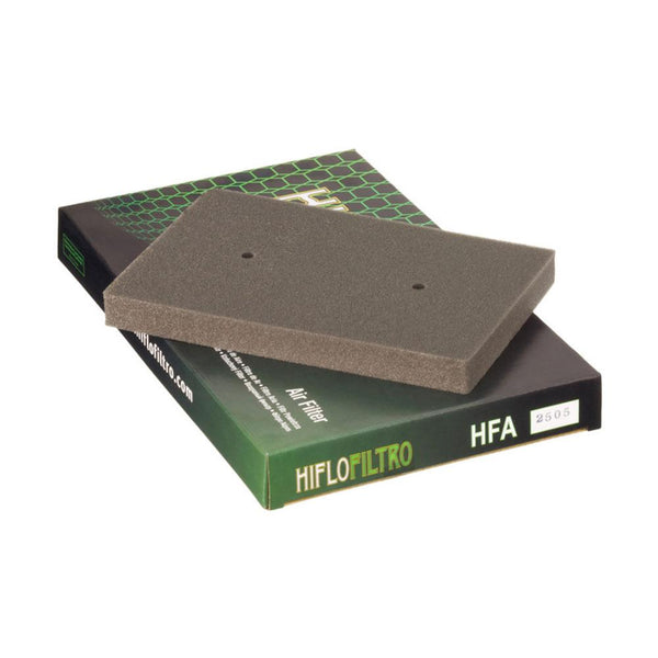 HIFLOFILTRO - Air Filter Element HFA2505 1