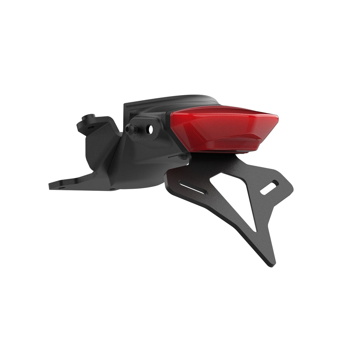 Evotech Triumph Trident Tail Tidy (2021 - 2024) - 20