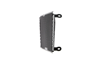 Evotech Radiator Guard - Aprilia Dorsoduro 750 (2008 - 2016) - 5