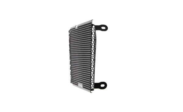 Evotech Radiator Guard - Aprilia Dorsoduro 750 (2008 - 2016) - 5