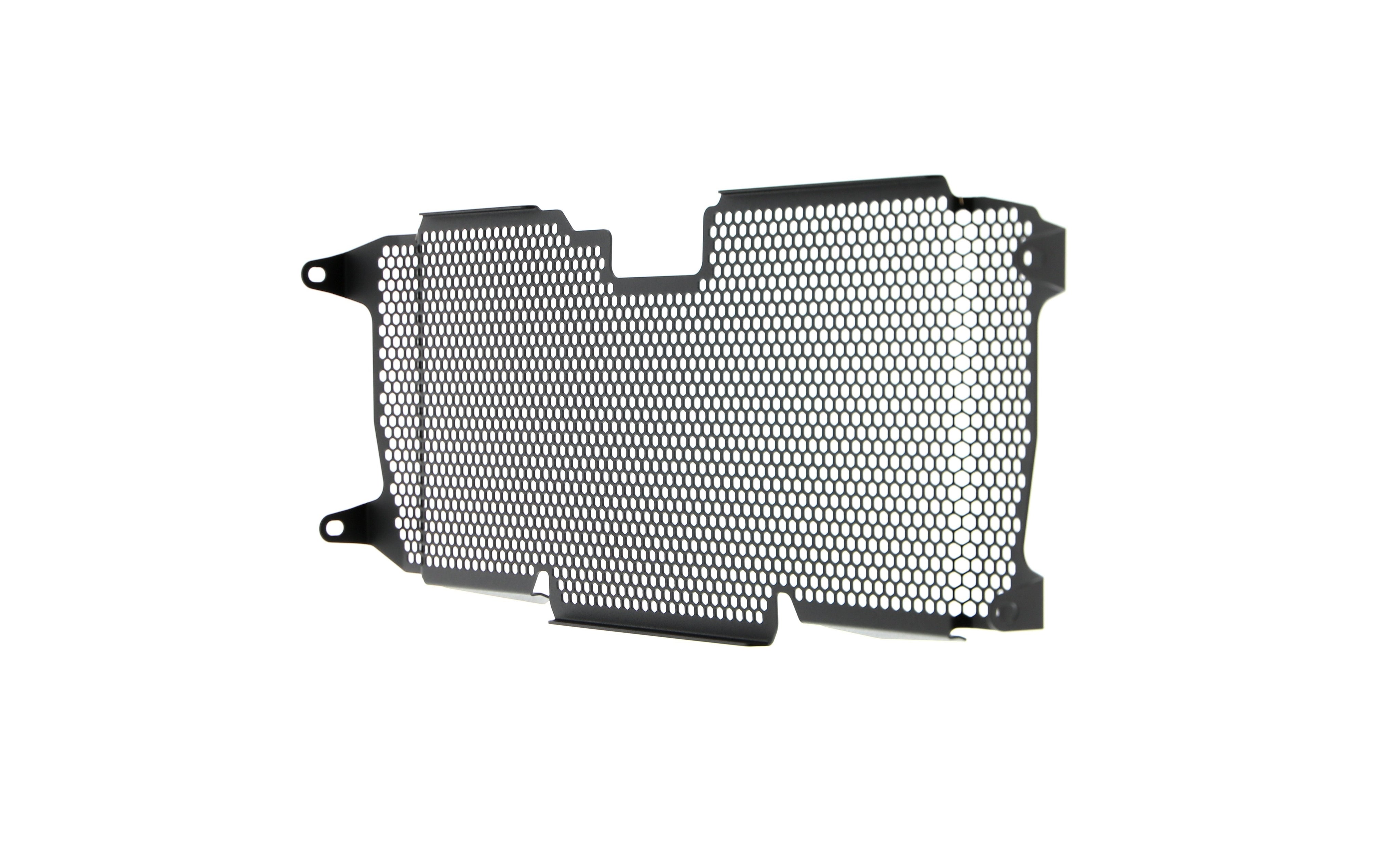 Evotech BMW R 1250 RS Radiator Guard (2019 - 2021) - 16