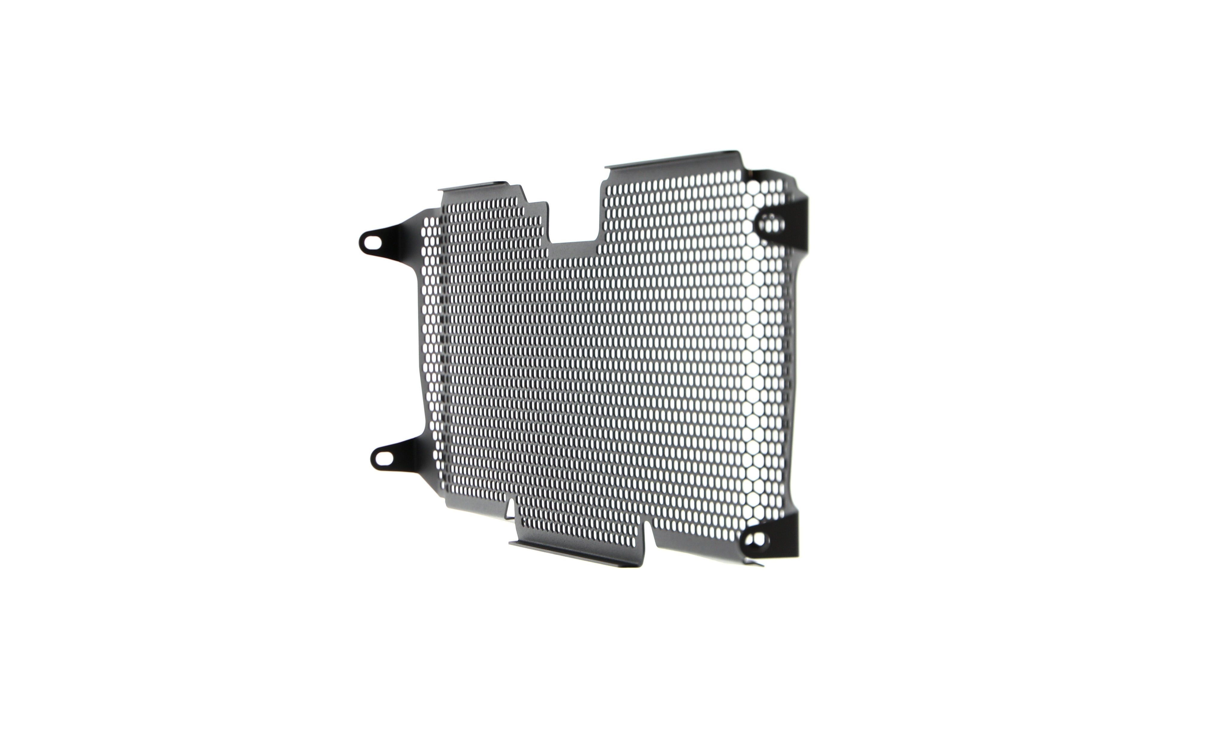 Evotech BMW R 1250 RS Radiator Guard (2019 - 2021) - 17