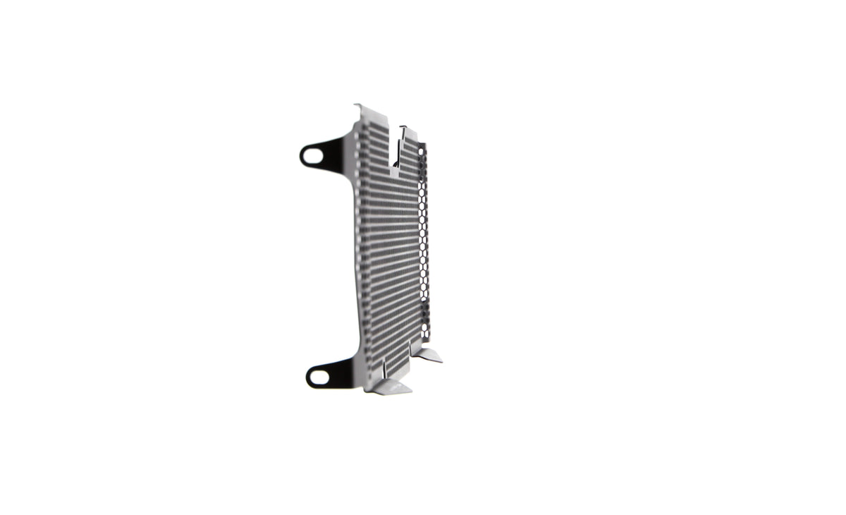 Evotech BMW R 1250 RS Radiator Guard (2019 - 2021) - 19