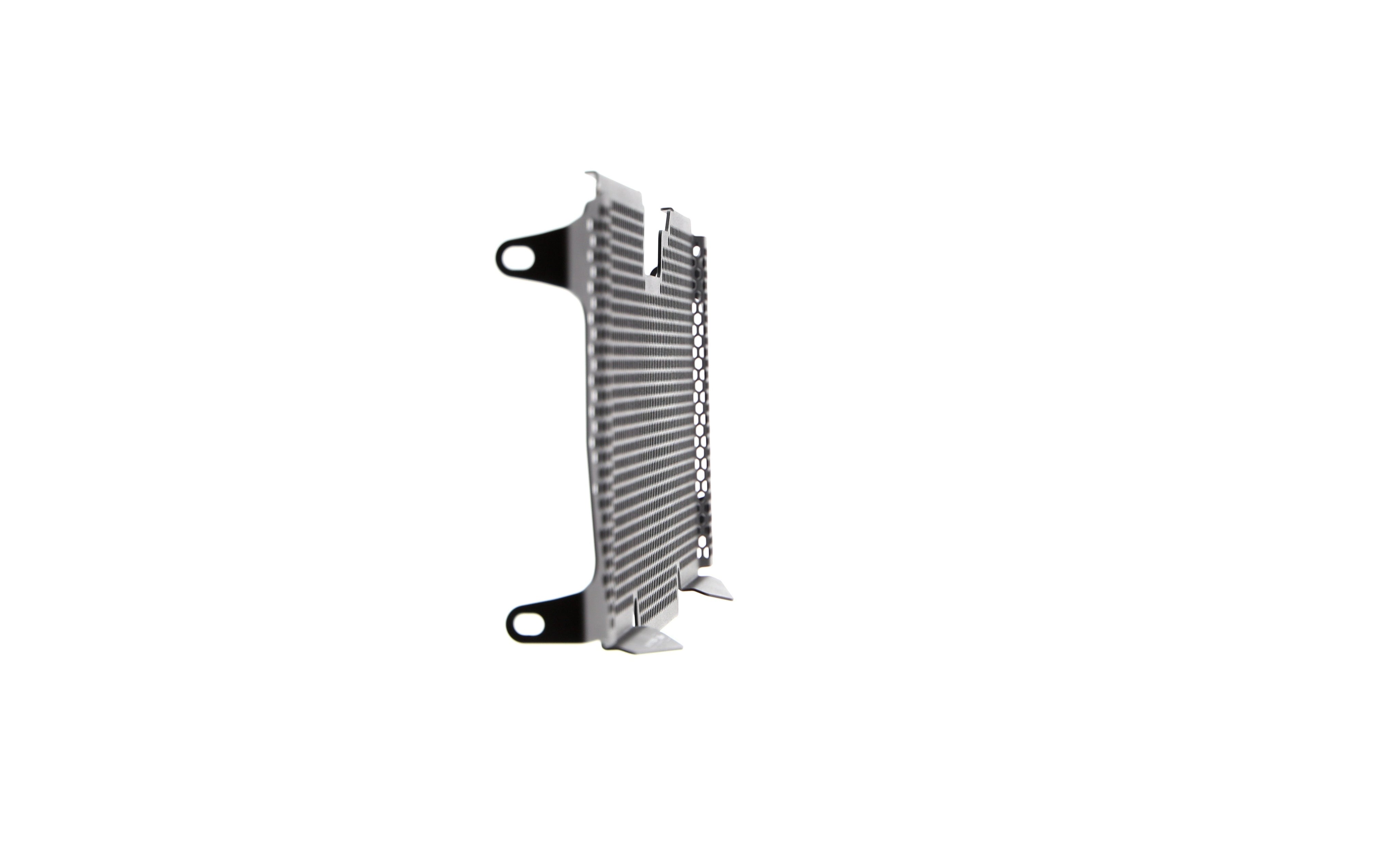 Evotech BMW R 1250 RS Radiator Guard (2019 - 2021) - 19