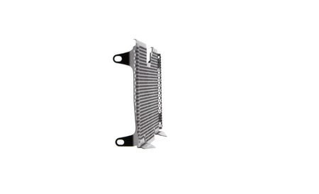 Evotech BMW R 1250 RS Radiator Guard (2019 - 2021) - 19