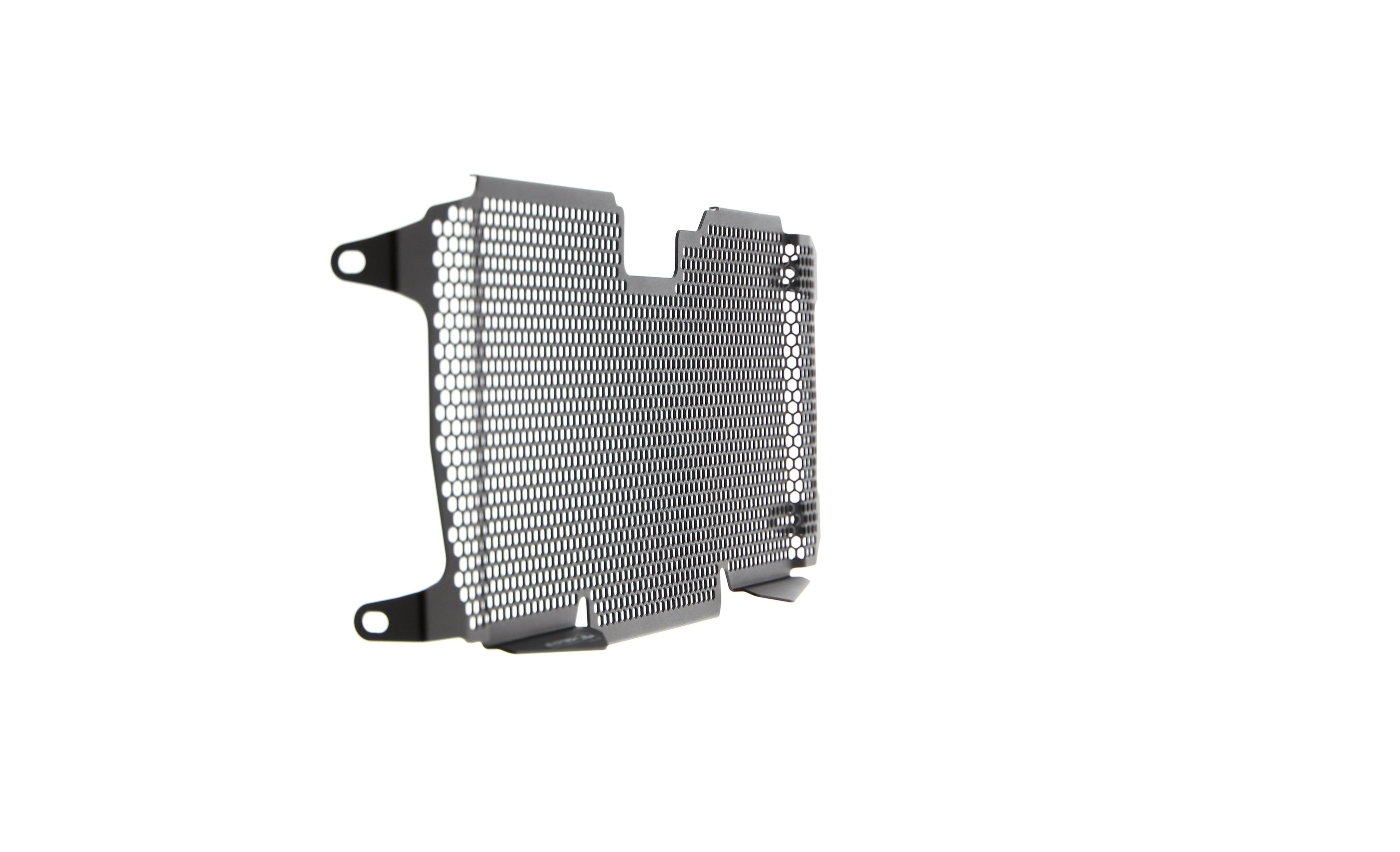 Evotech BMW R 1250 RS Radiator Guard (2019 - 2021) - 20