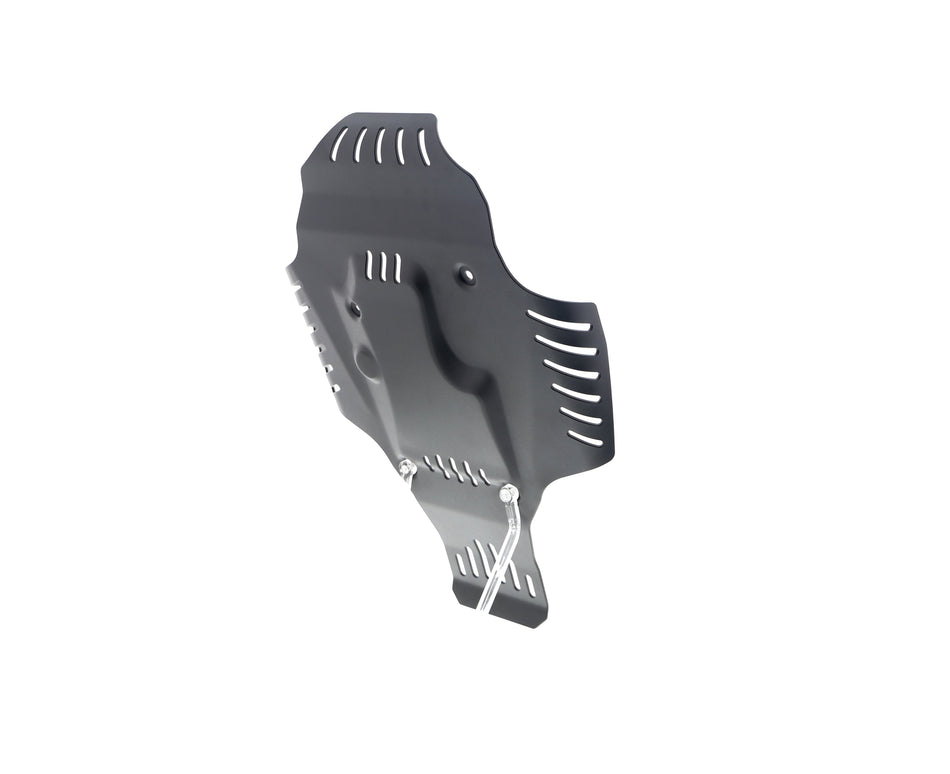 Evotech BMW R 12 nineT Engine Guard (2024+) - 1