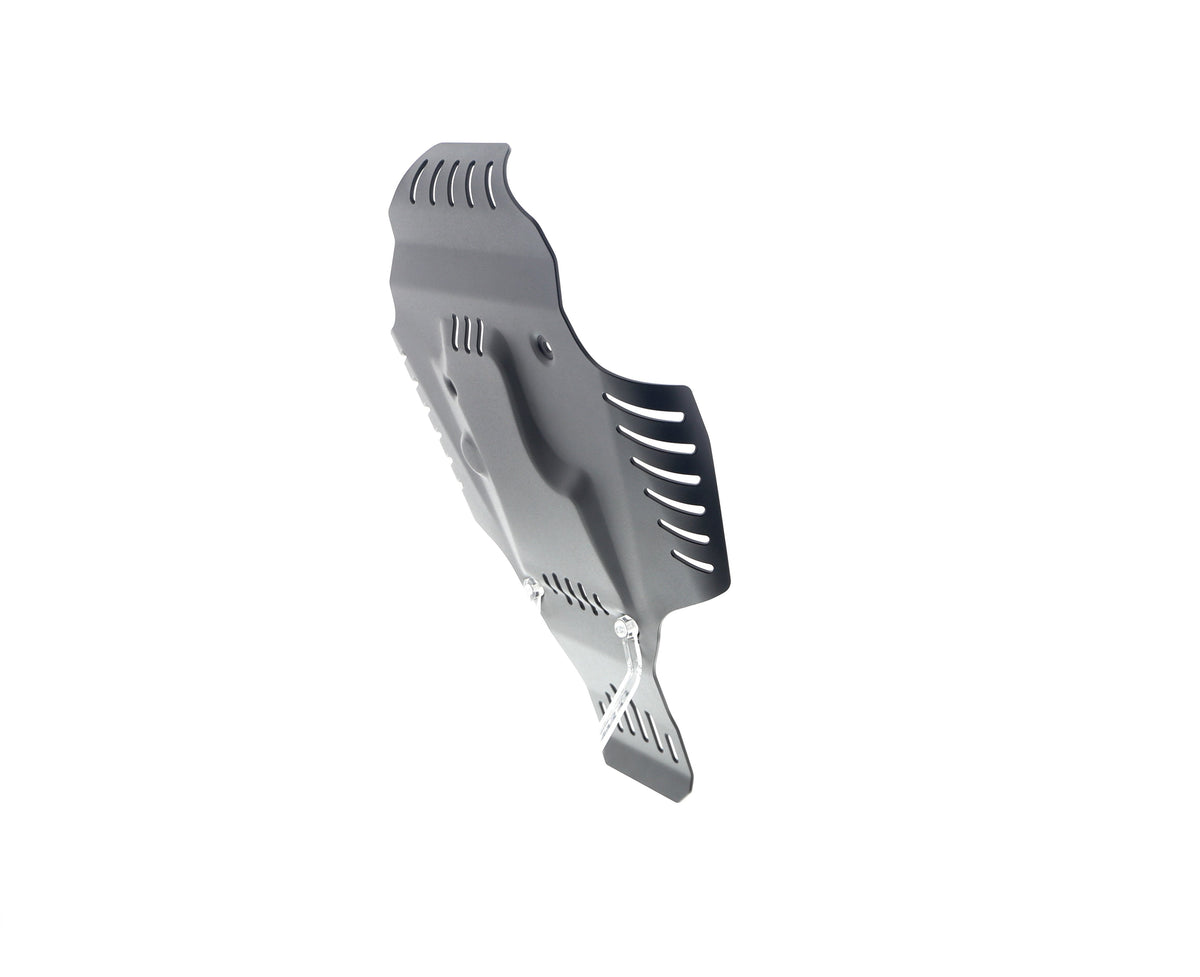 Evotech BMW R 12 Engine Guard (2024+) - 4