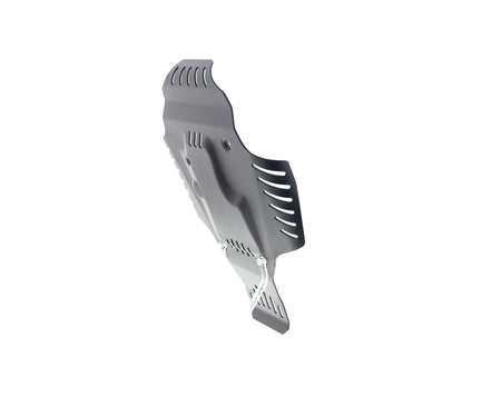 Evotech BMW R 12 Engine Guard (2024+) - 4