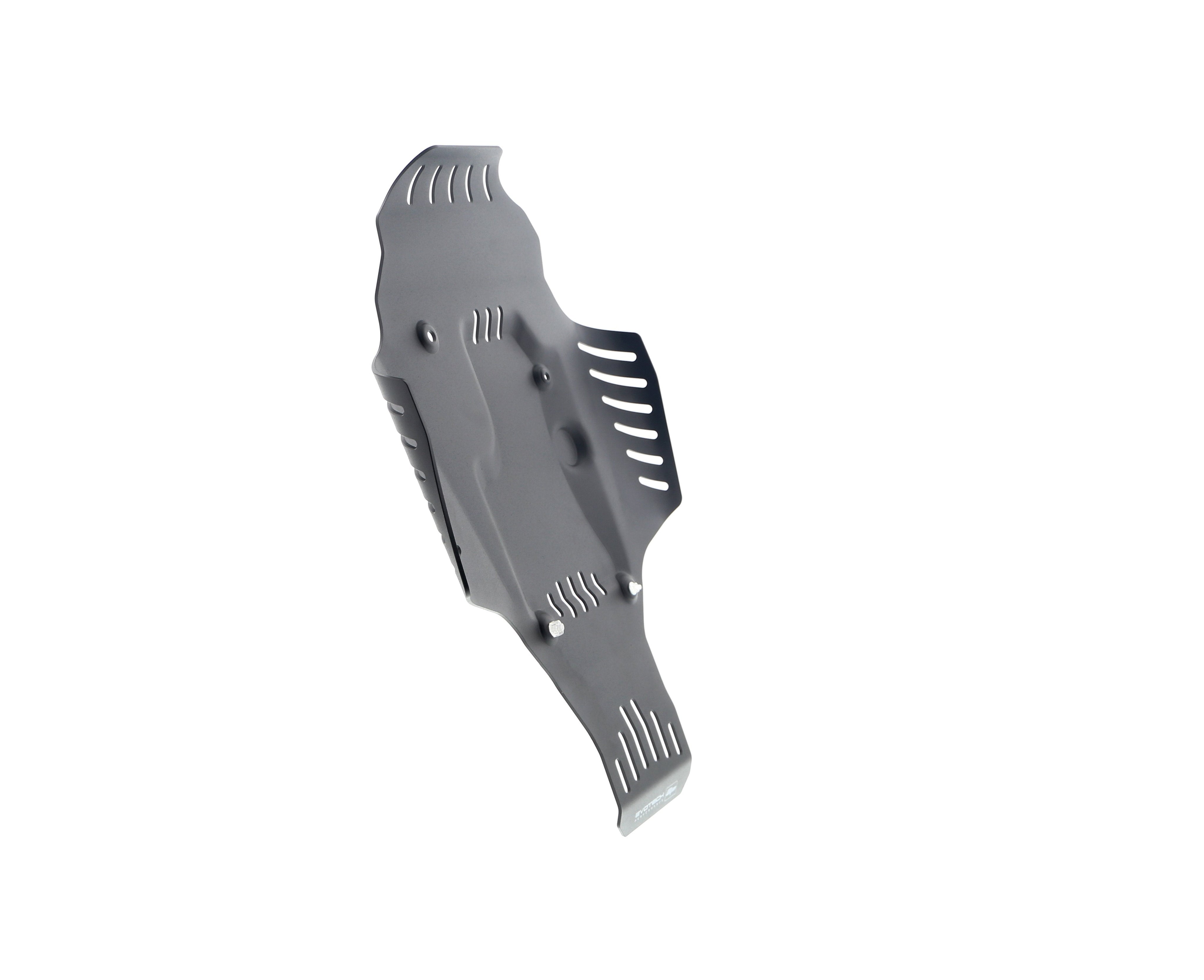 Evotech BMW R 12 Engine Guard (2024+) - 8