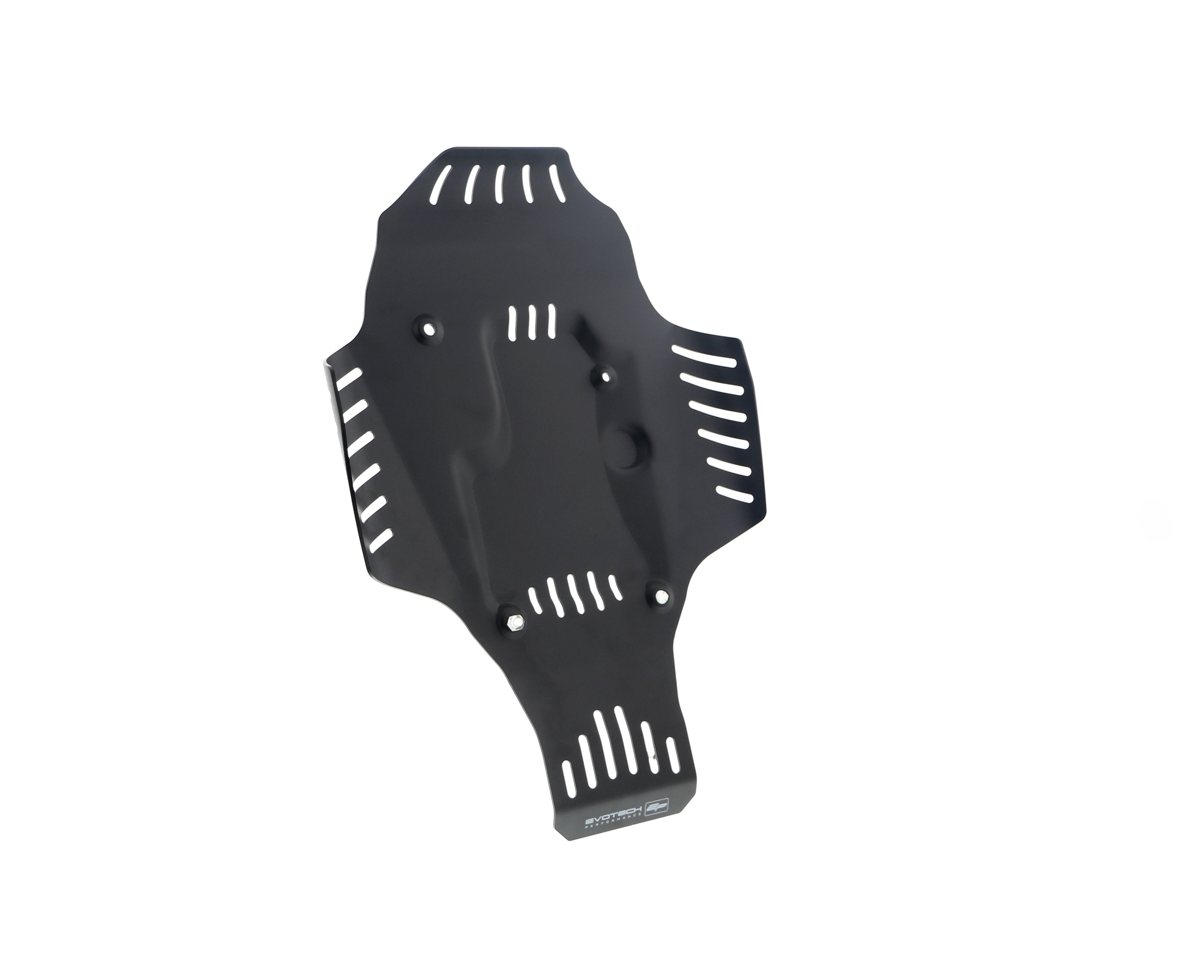 Evotech BMW R 12 Engine Guard (2024+) - 10