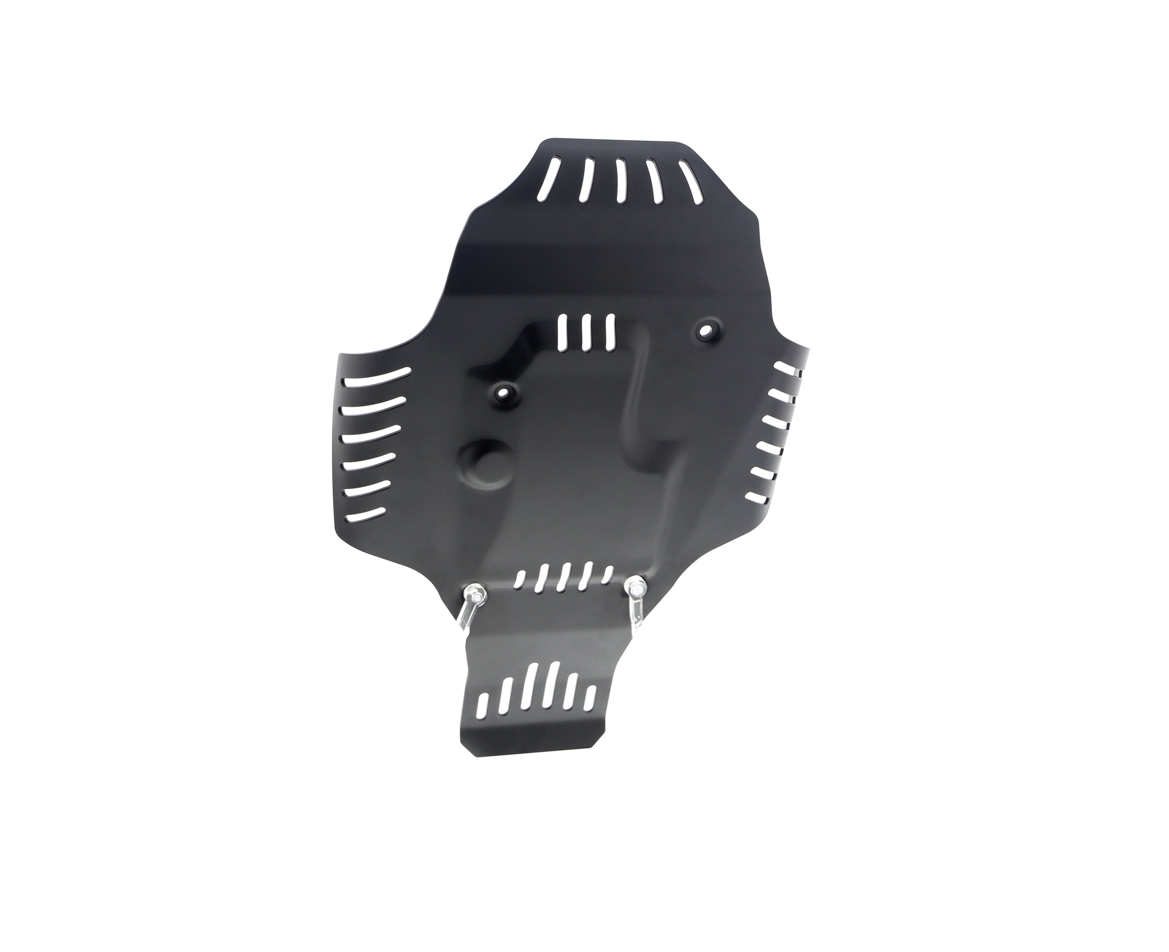 Evotech BMW R 12 Engine Guard (2024+) - 23