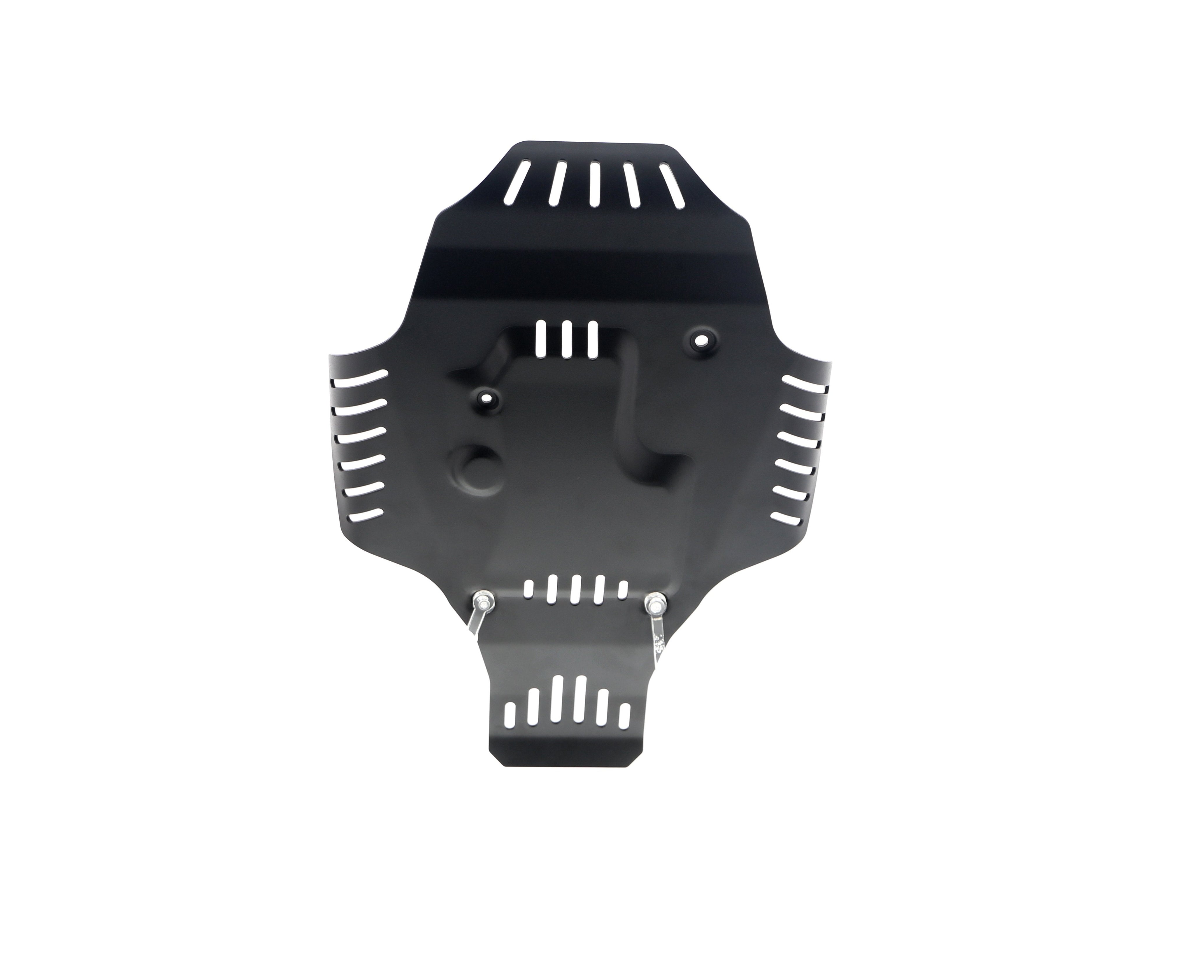 Evotech BMW R 12 Engine Guard (2024+) - 24