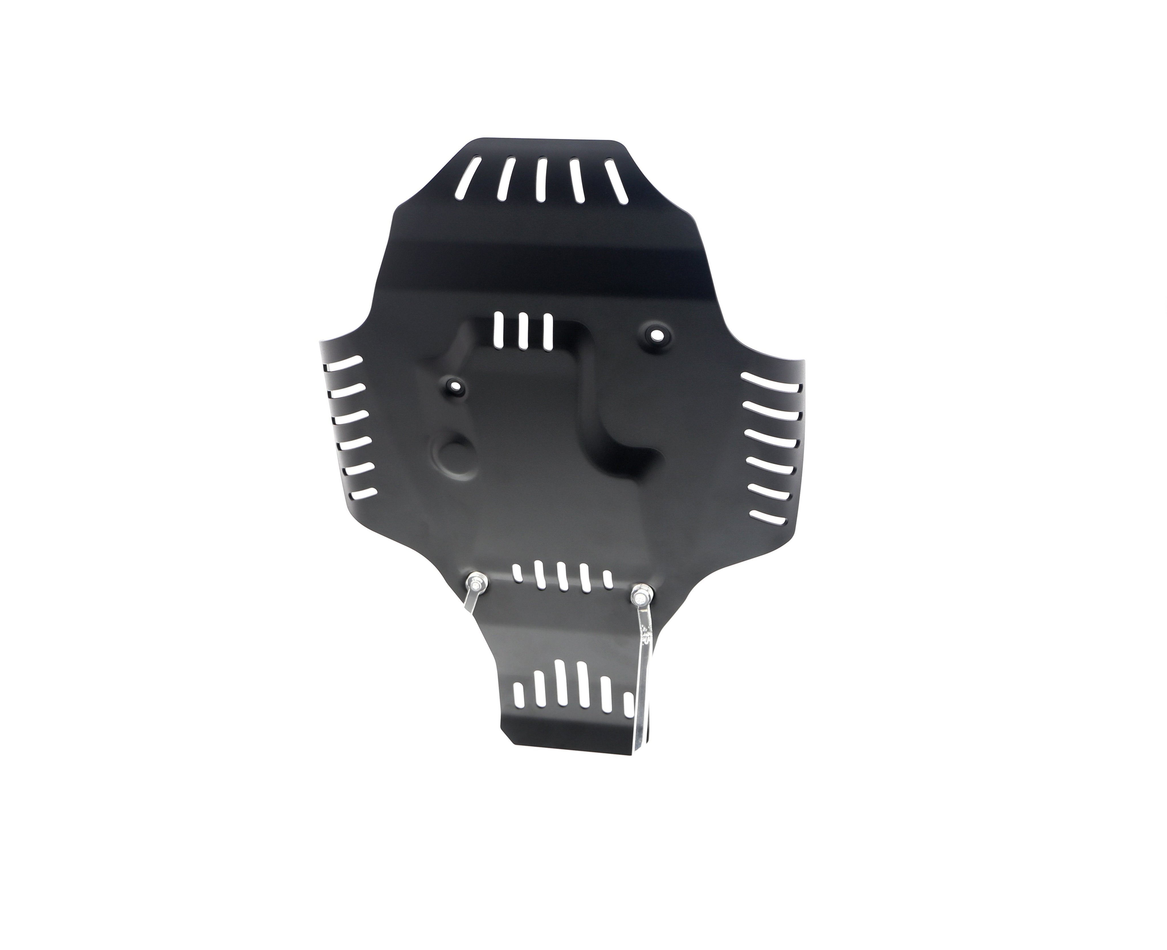 Evotech BMW R 12 Engine Guard (2024+) - 25