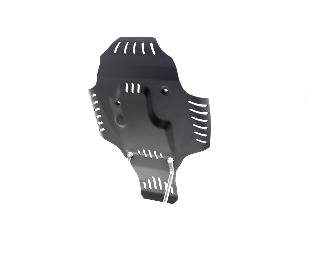 Evotech BMW R 12 Engine Guard (2024+) - 26