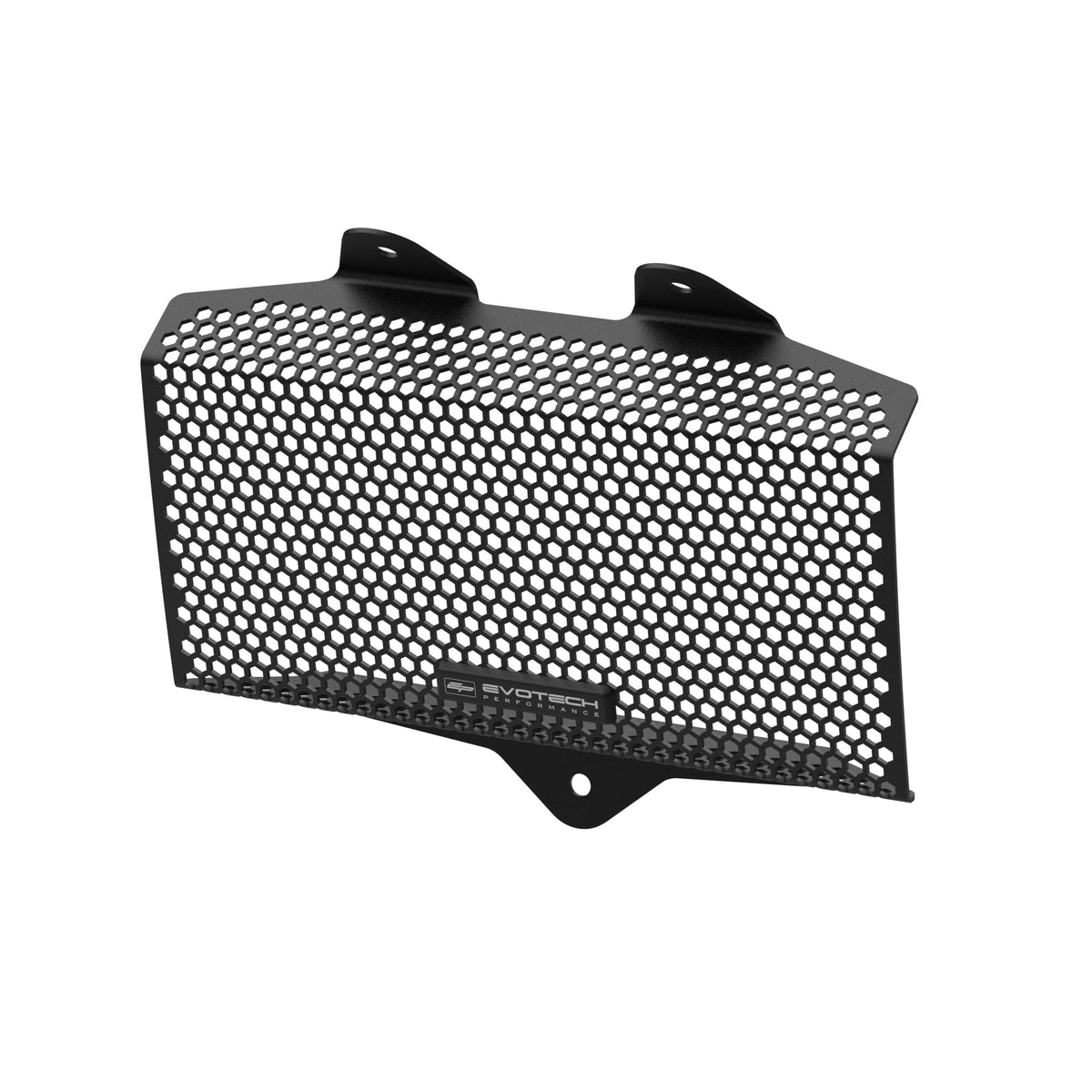 Evotech Radiator Guard - BMW R 12 NineT (2024+) - 1