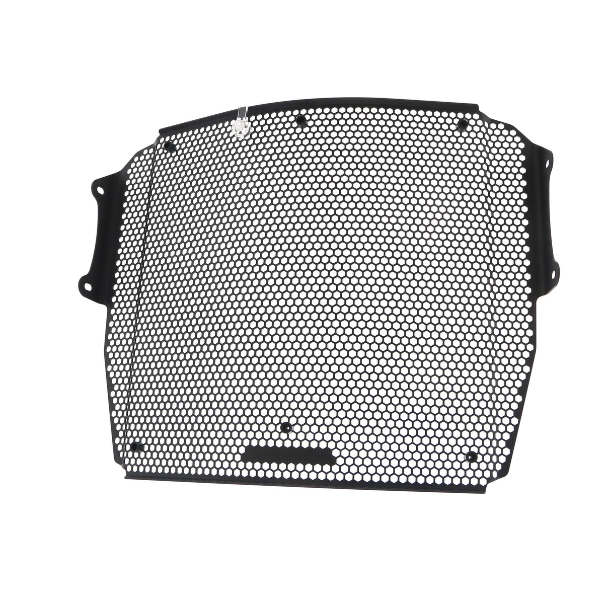 Evotech Radiator Guard (Black) - Triumph Speed Triple 1200 RS (2025+), PRN015488-03, Image 16