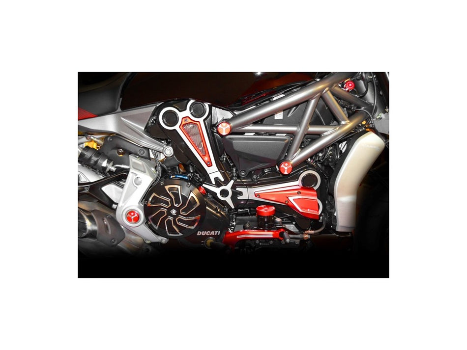 CAV01 - XDIAVEL VERTICAL AIR INTAKE - DBK Special Parts - 2