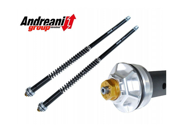 CFD105/A11E - APRILIA RS 660 ADJ. CARTRIDGE KIT - Andreani - 1