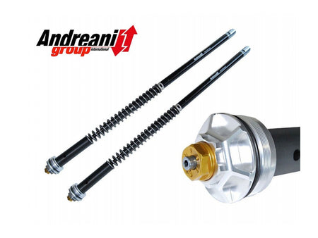 CFD115/K04E - KAWASAKI Z H2 ADJ. CARTRIDGE KIT - Andreani - 1