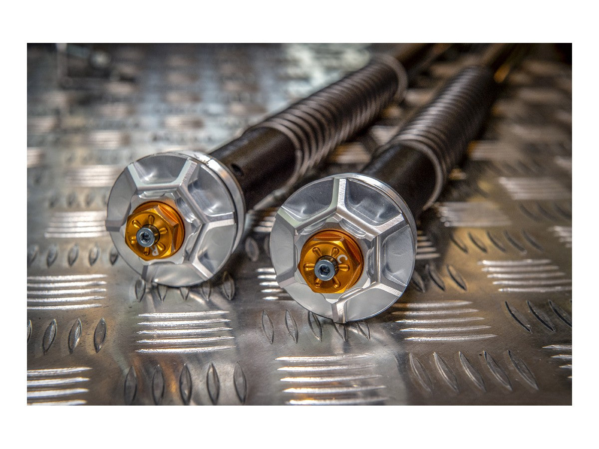 CFD115/K04E - KAWASAKI Z H2 ADJ. CARTRIDGE KIT - Andreani - 2