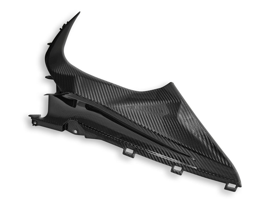 CRB113L - BMW S1000RR GLOSSY CARBON INFIL PANEL - DBK Special Parts - 2