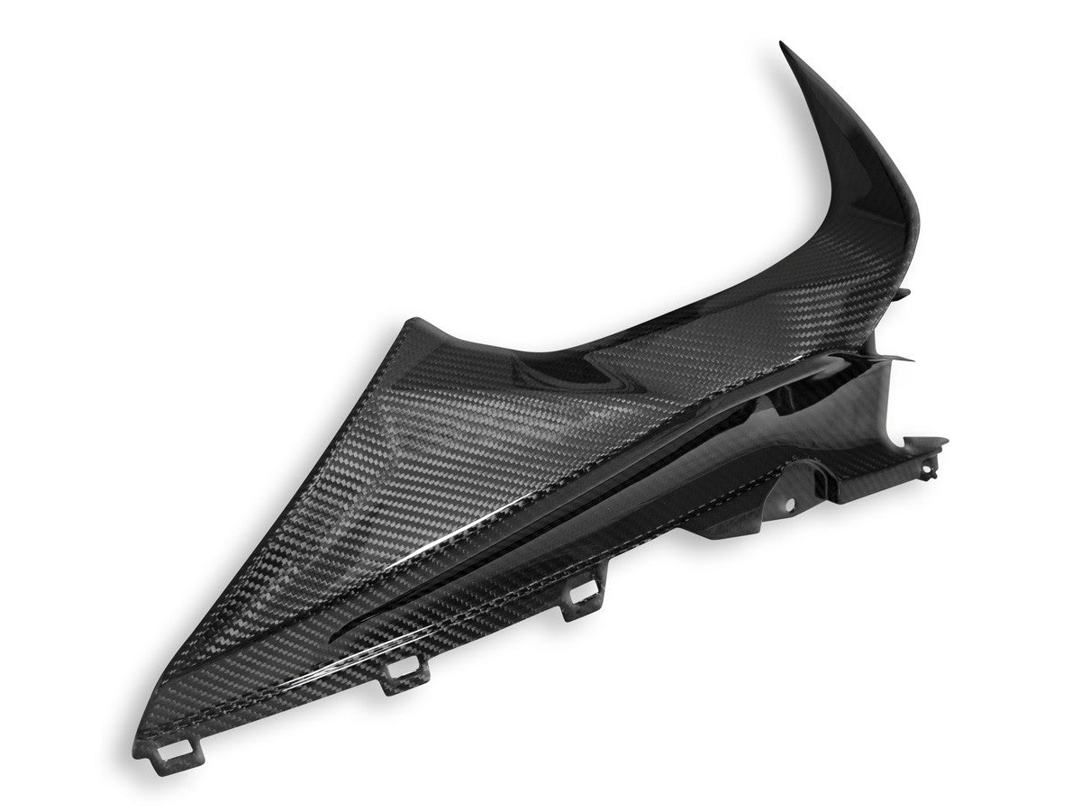 CRB113L - BMW S1000RR GLOSSY CARBON INFIL PANEL - DBK Special Parts - 3