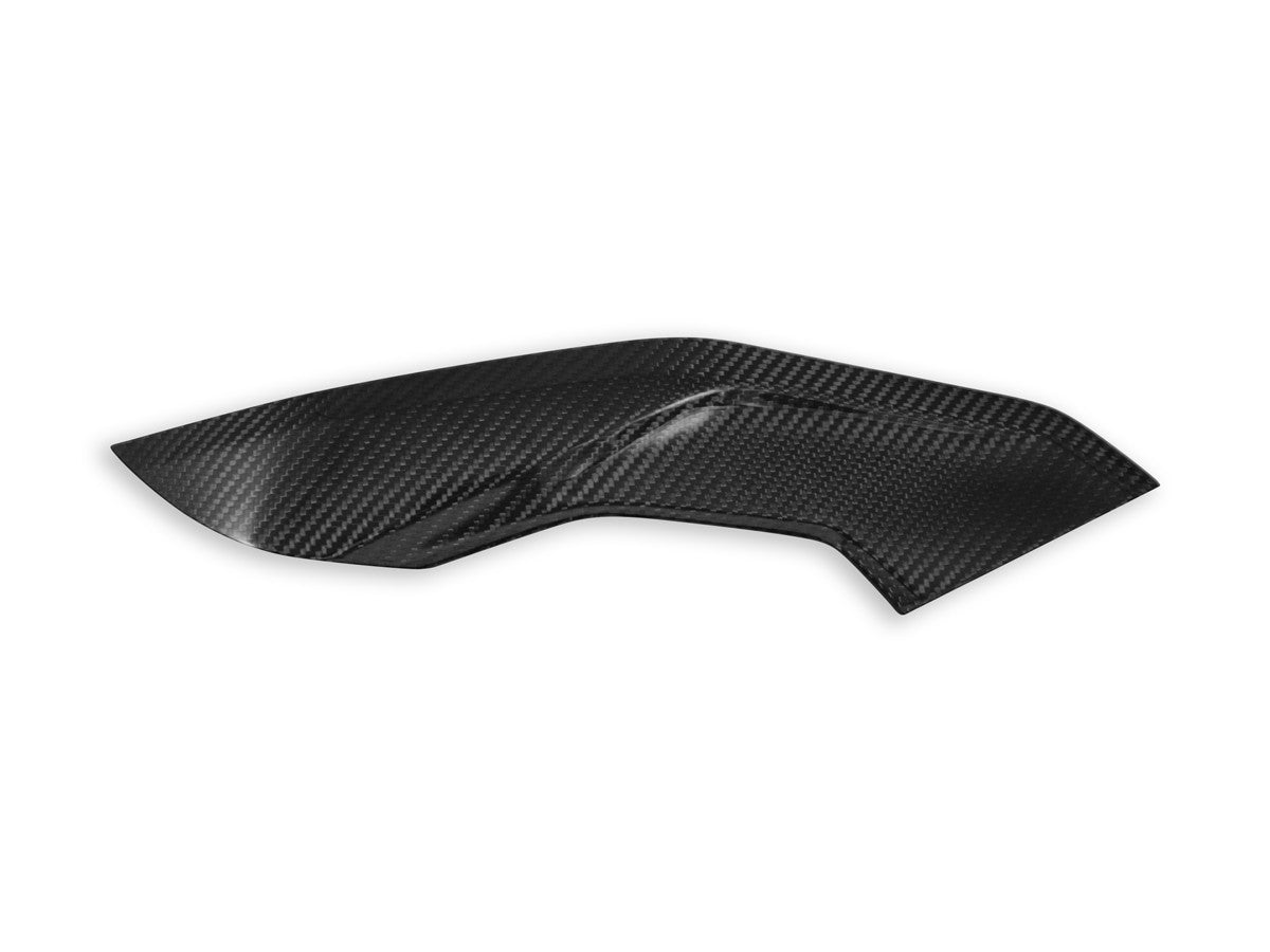 CRB139L - BMW S1000R SIDE PANELS POLISHED CARBON - DBK Special Parts - 2