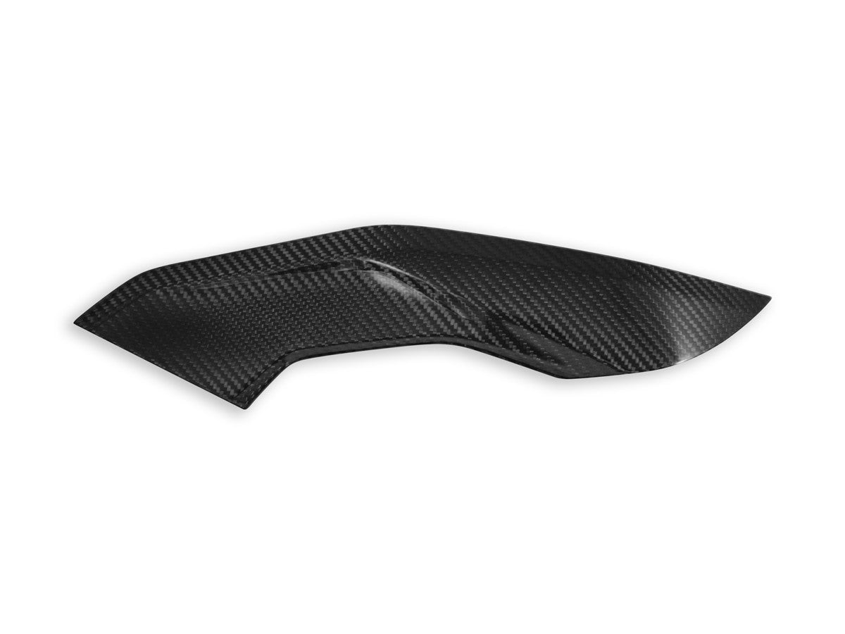 CRB139L - BMW S1000R SIDE PANELS POLISHED CARBON - DBK Special Parts - 3