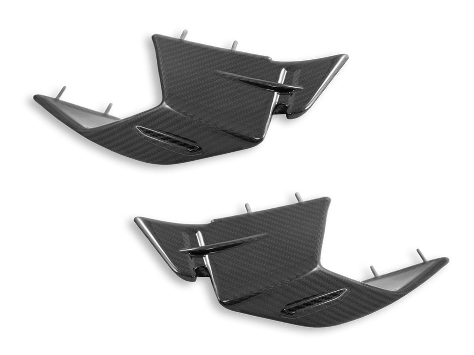 CRB142L - BMW S1000RR MY23 GLOSSY CARBON WINGLETS - DBK Special Parts - 1