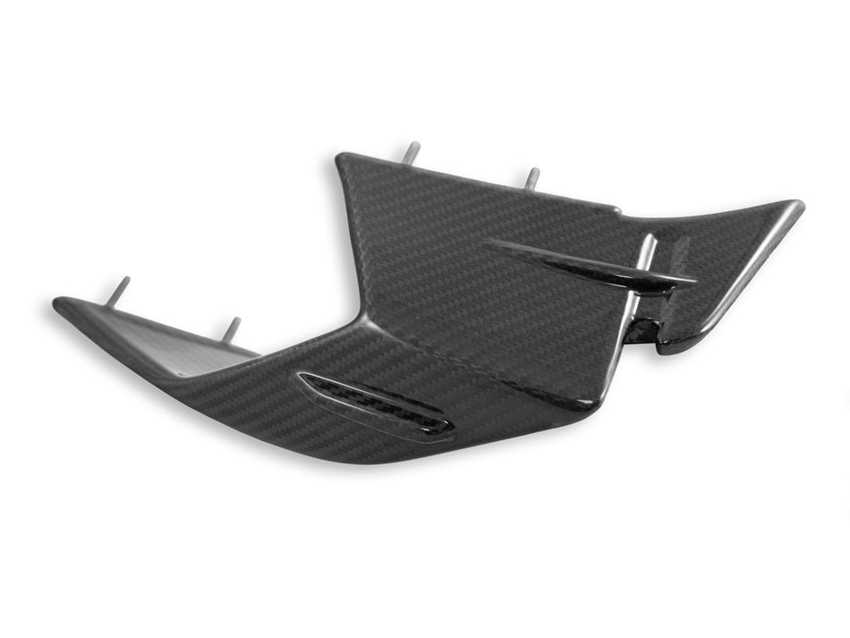 CRB142L - BMW S1000RR MY23 GLOSSY CARBON WINGLETS - DBK Special Parts - 2