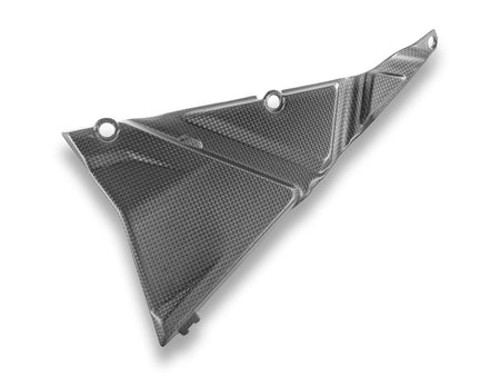 CRB146O - MATT CARBON FRAME COVER MTS V4 RS - DBK Special Parts - 3