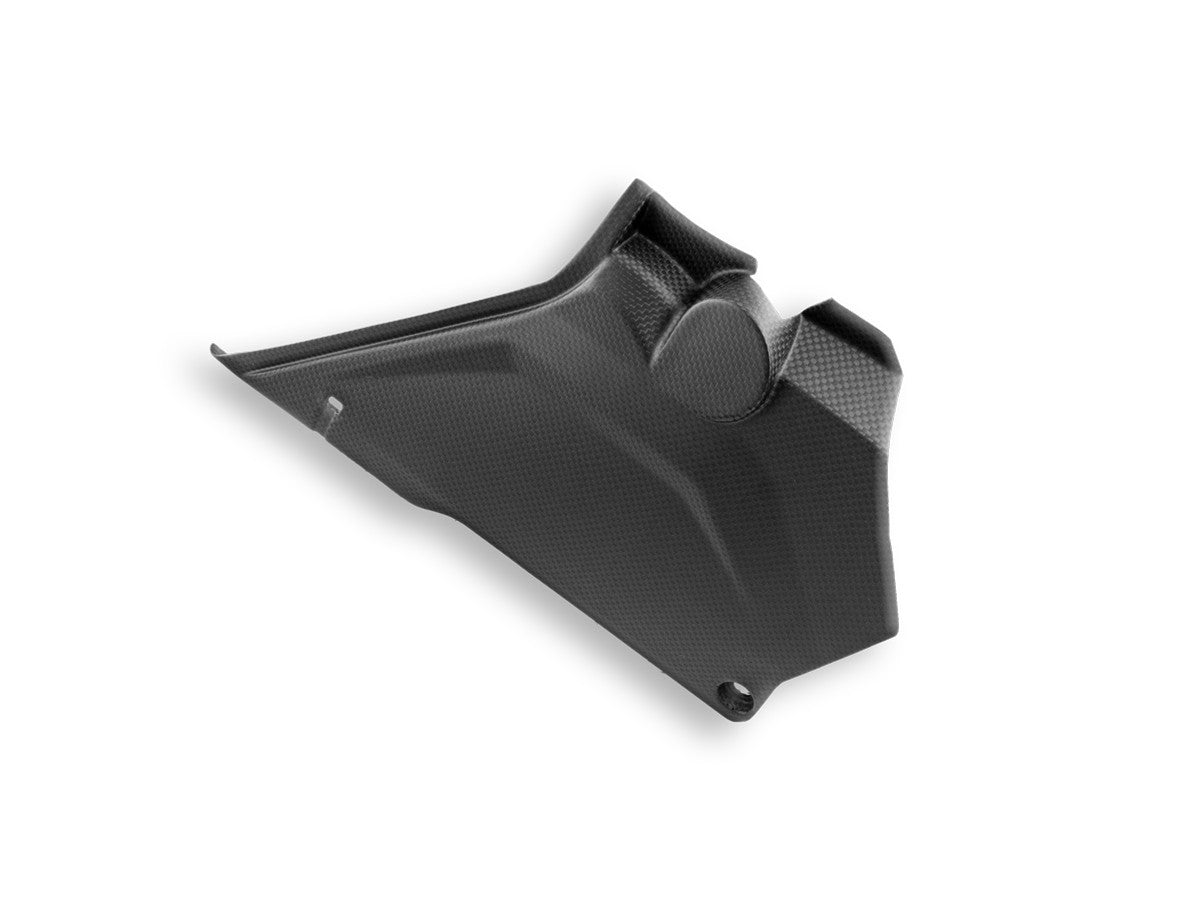 CRB66O - DESERTX MATT CARBON SIDE PANELS - DBK Special Parts - 2