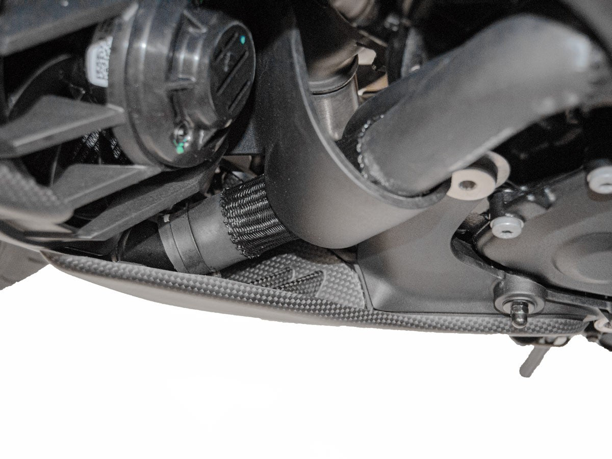 CRB72O - DIAVEL V4 MATTE CARBON SIDE SUPPORT - DBK Special Parts - 2