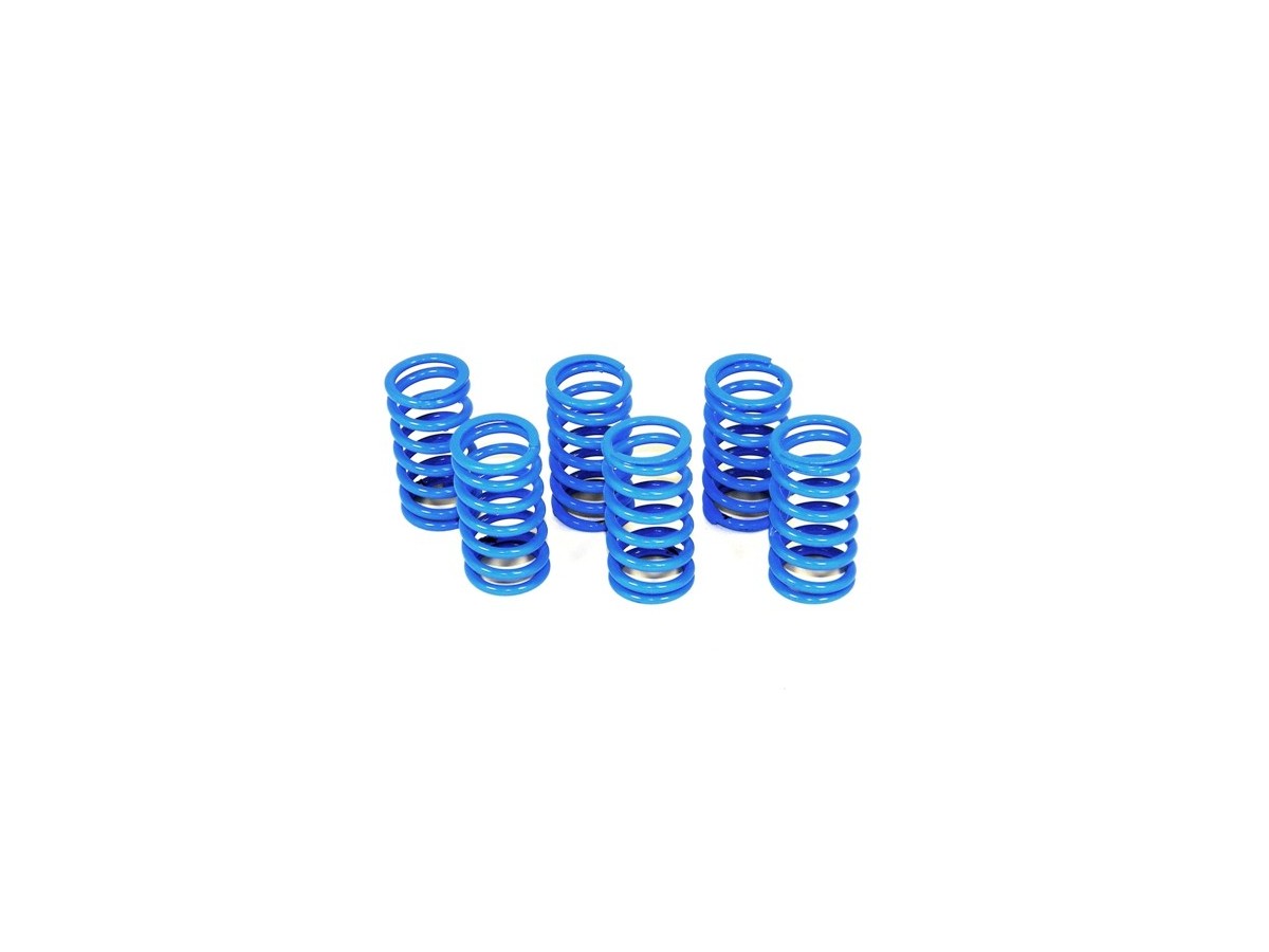 6M01 - KIT CLUTCH SPRINGS - DBK Special Parts - 10