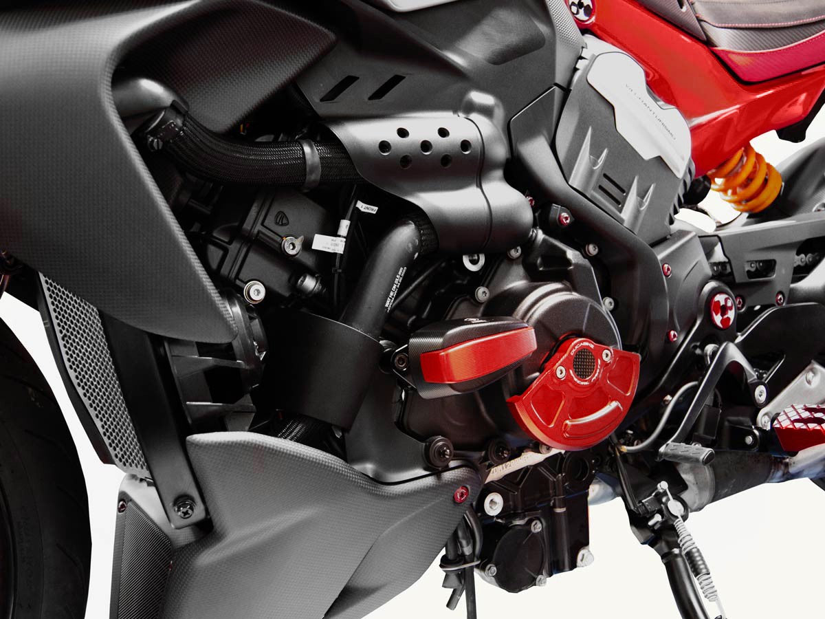 PTDV401 - DIAVEL V4 PROTECTION FRAME - DBK Special Parts - 5