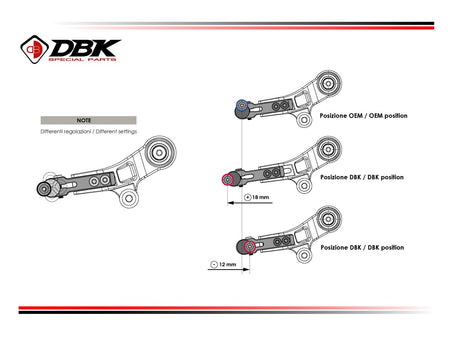 RPLC30 - BMW R1300GS ADJUSTABLE GEAR LEVER - DBK Special Parts - 3