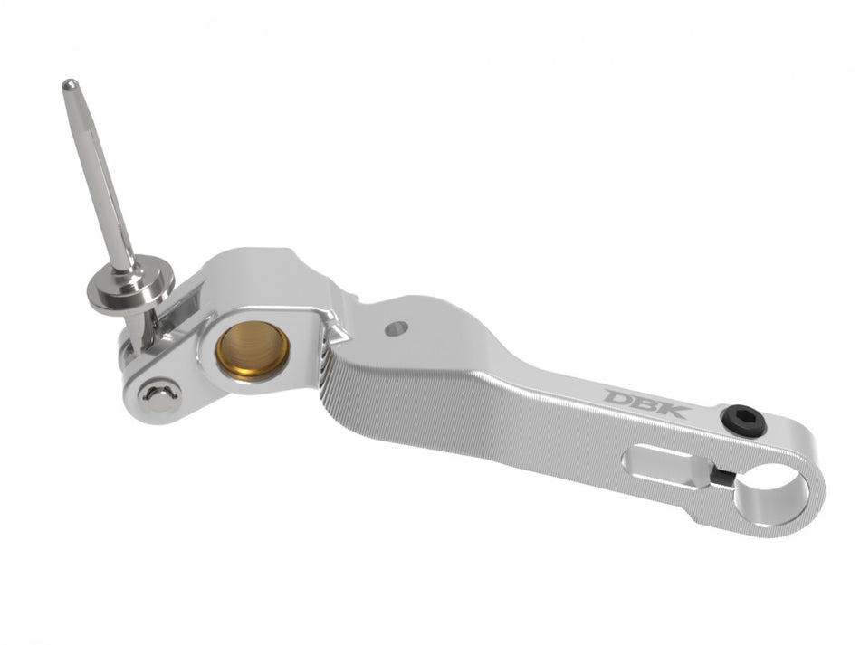 RPLF32 - STREETFIGHTER V4 MY 25 BRAKE LEVER - DBK Special Parts - 9