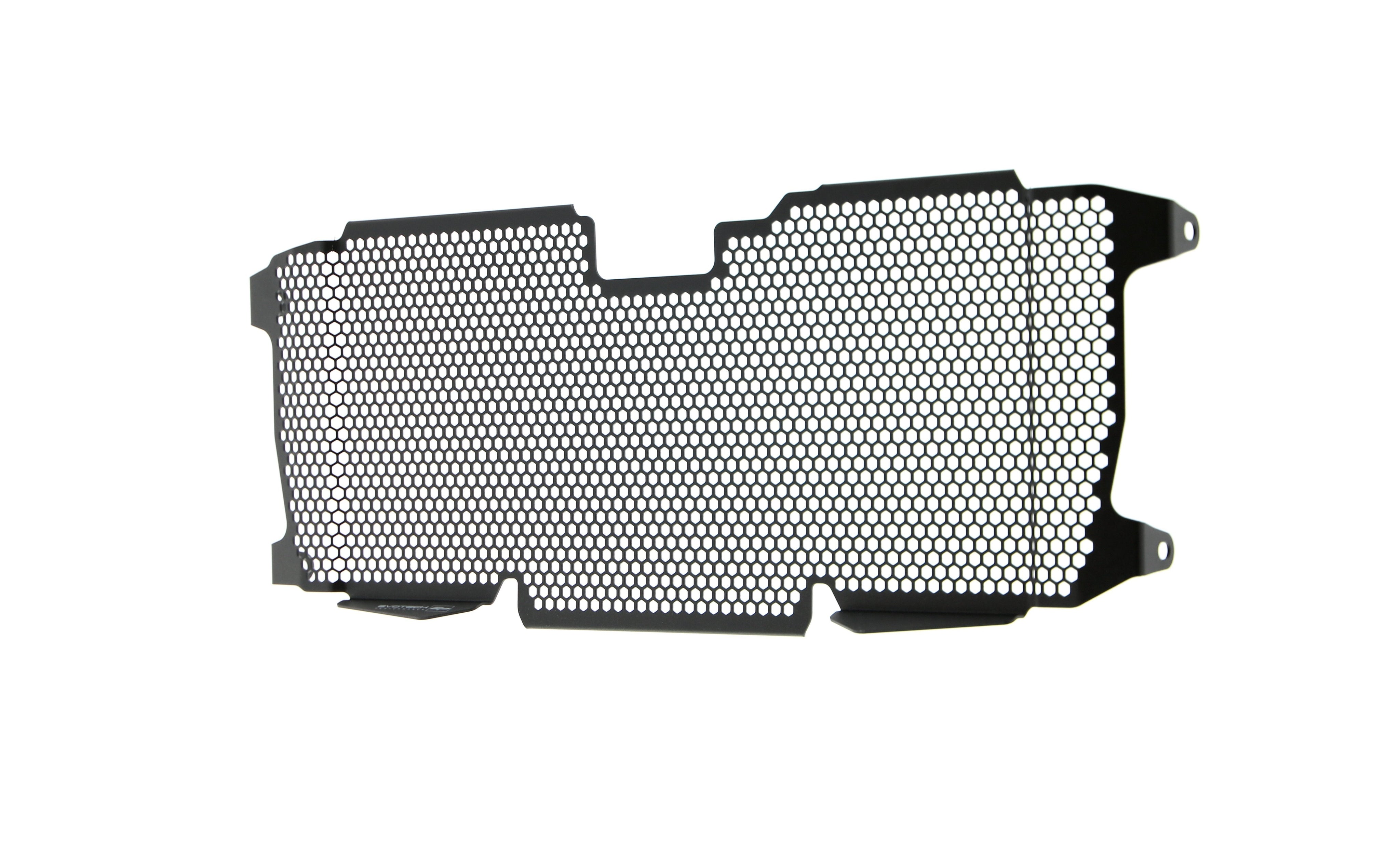 Evotech BMW R 1250 R Exclusive Radiator Guard 2019+ - 3