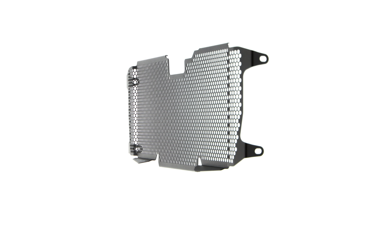 Evotech BMW R 1250 R Radiator Guard (2019+) - 5