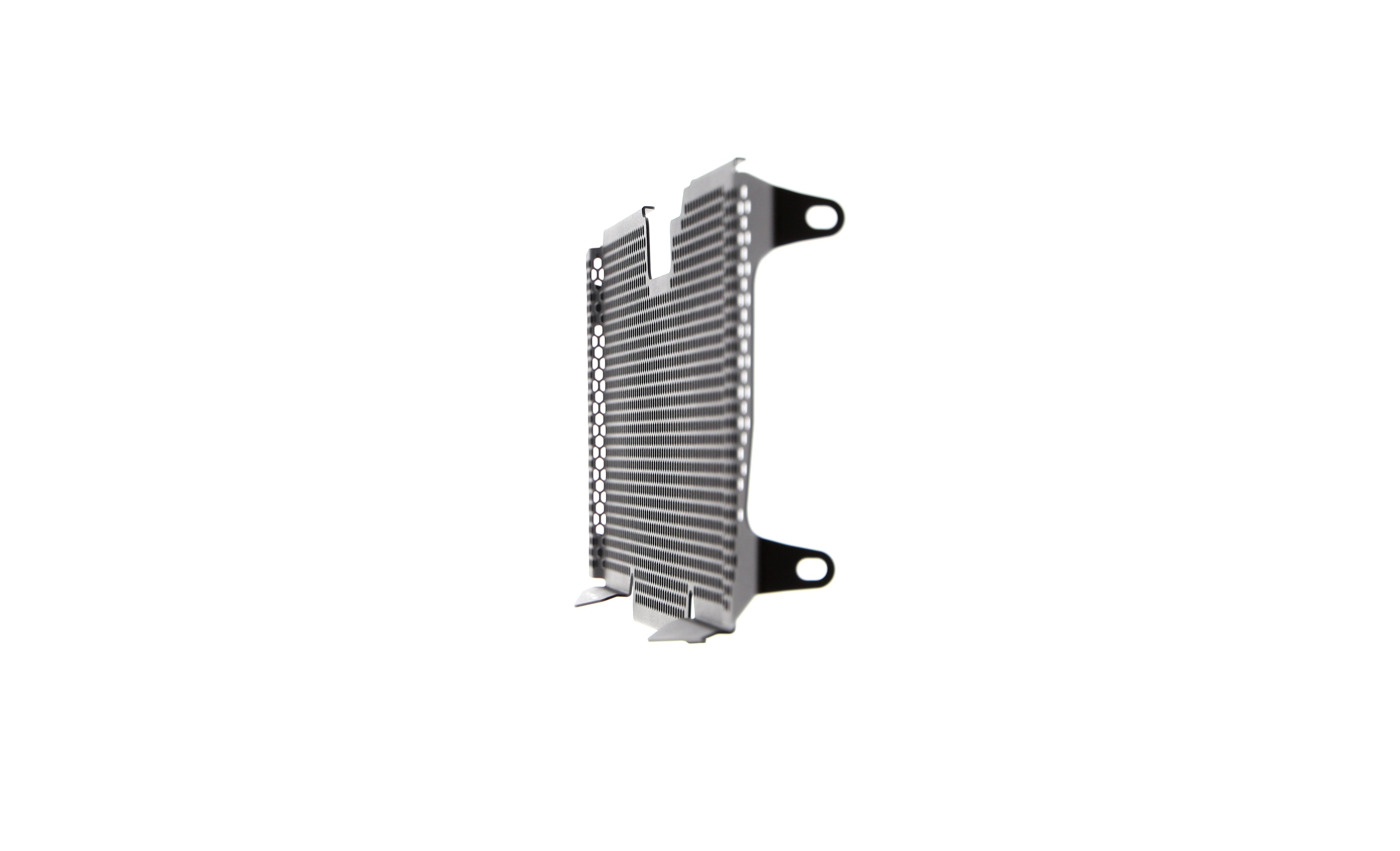 Evotech BMW R 1250 R Radiator Guard (2019+) - 6