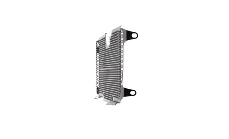 Evotech BMW R 1250 R Exclusive Radiator Guard 2019+ - 6