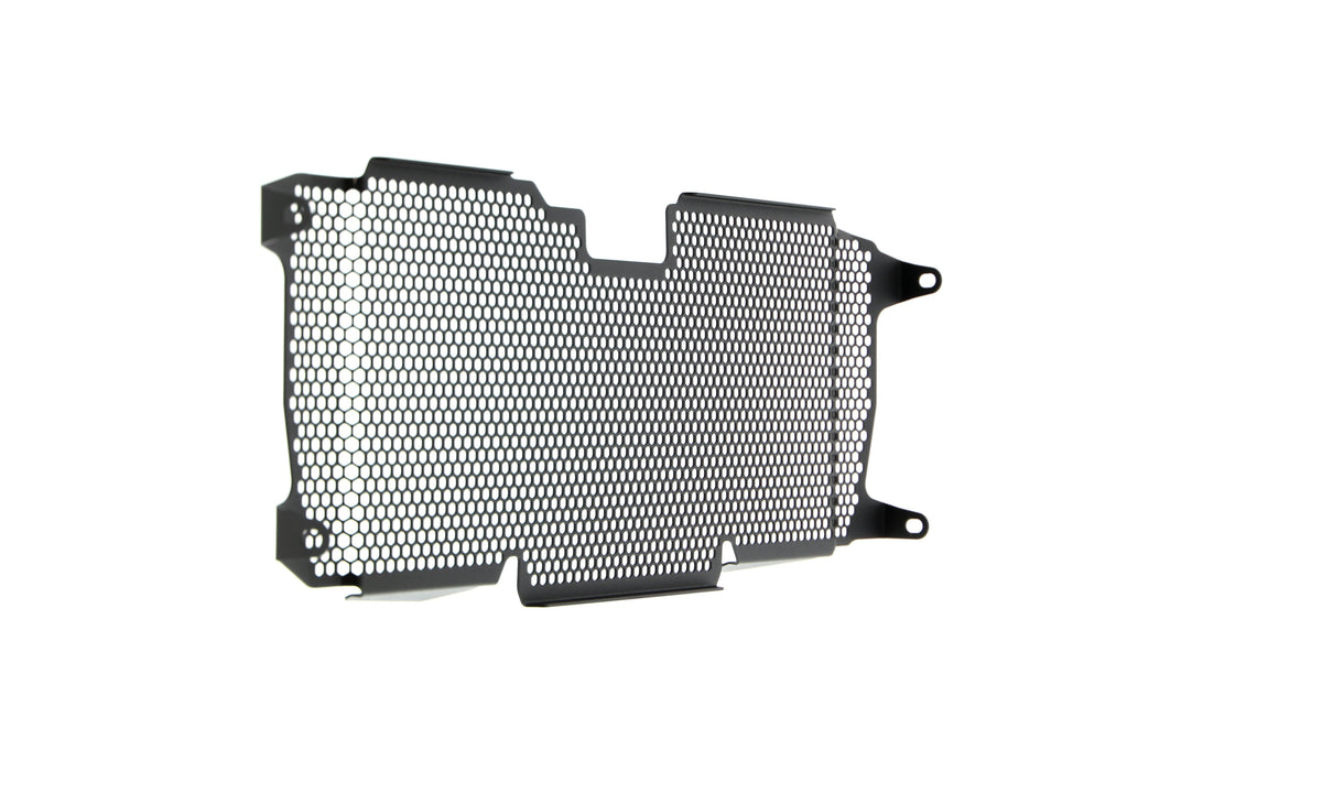 Evotech BMW R 1250 R Exclusive Radiator Guard 2019+ - 9