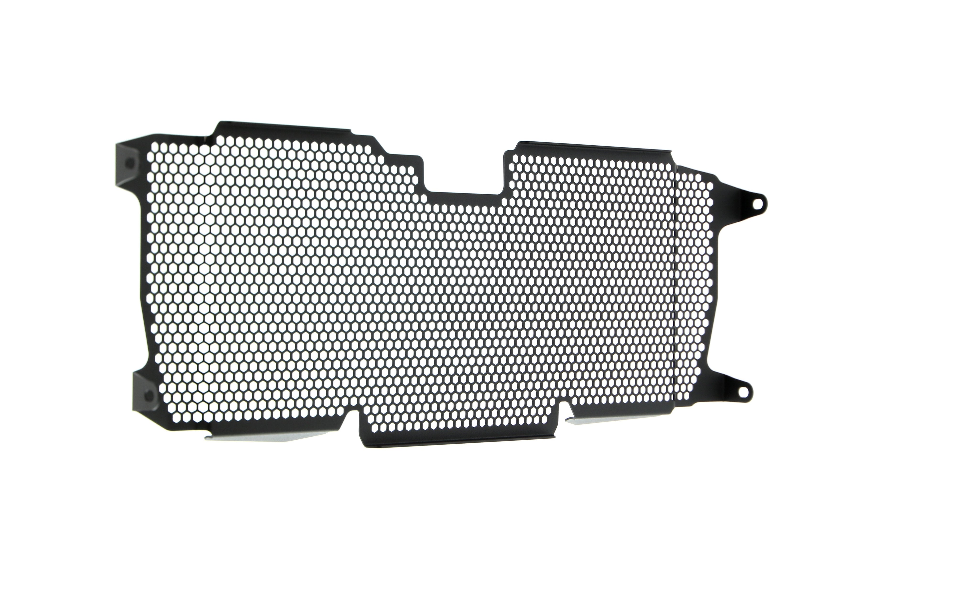 Evotech BMW R 1250 R Exclusive Radiator Guard 2019+ - 10