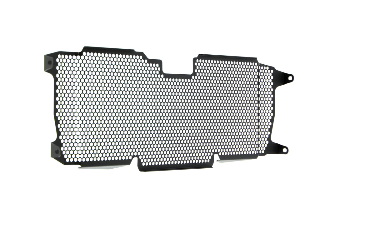 Evotech BMW R 1250 R Radiator Guard (2019+) - 10