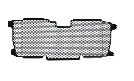 Evotech BMW R 1250 R Exclusive Radiator Guard 2019+ - 12