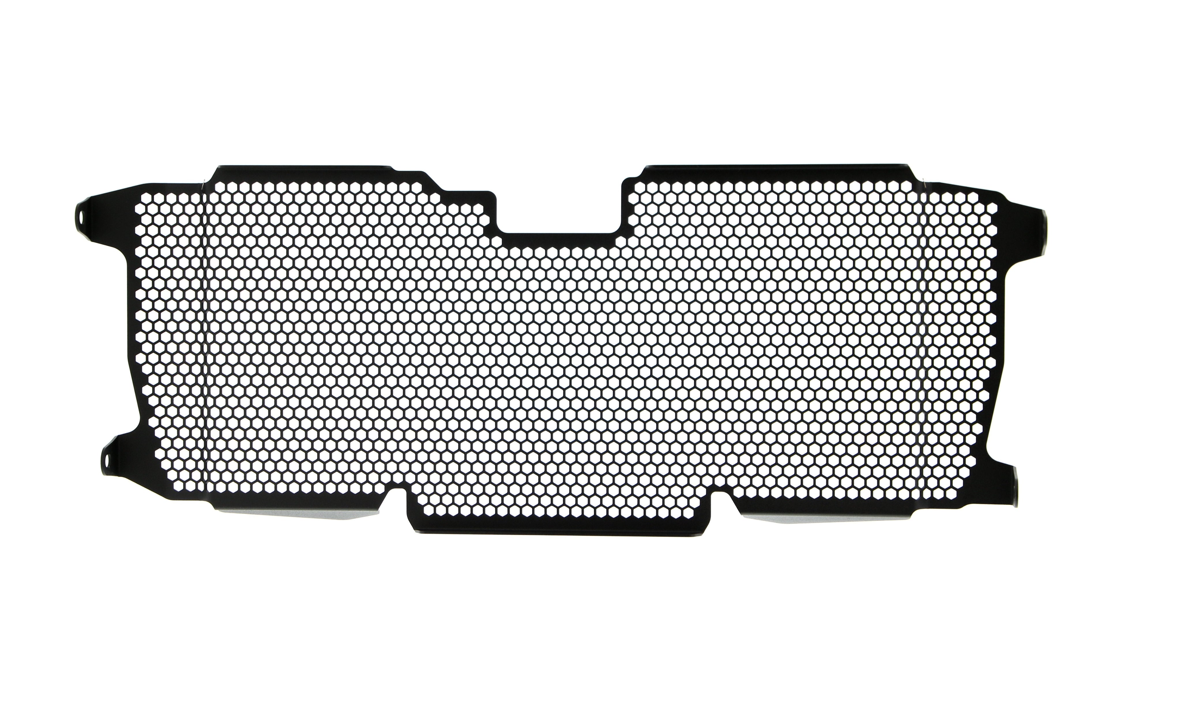 Evotech BMW R 1250 R Radiator Guard (2019+) - 13